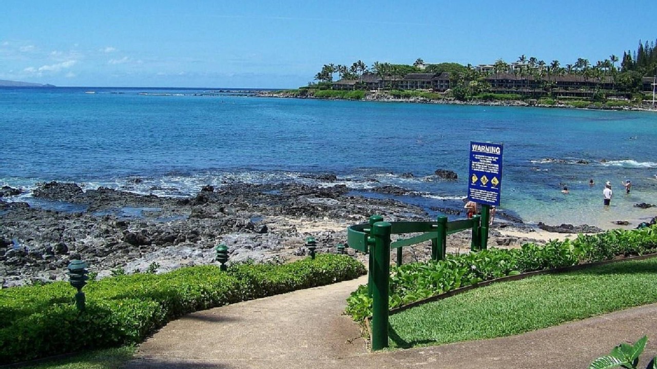 Photo of Others in Napili