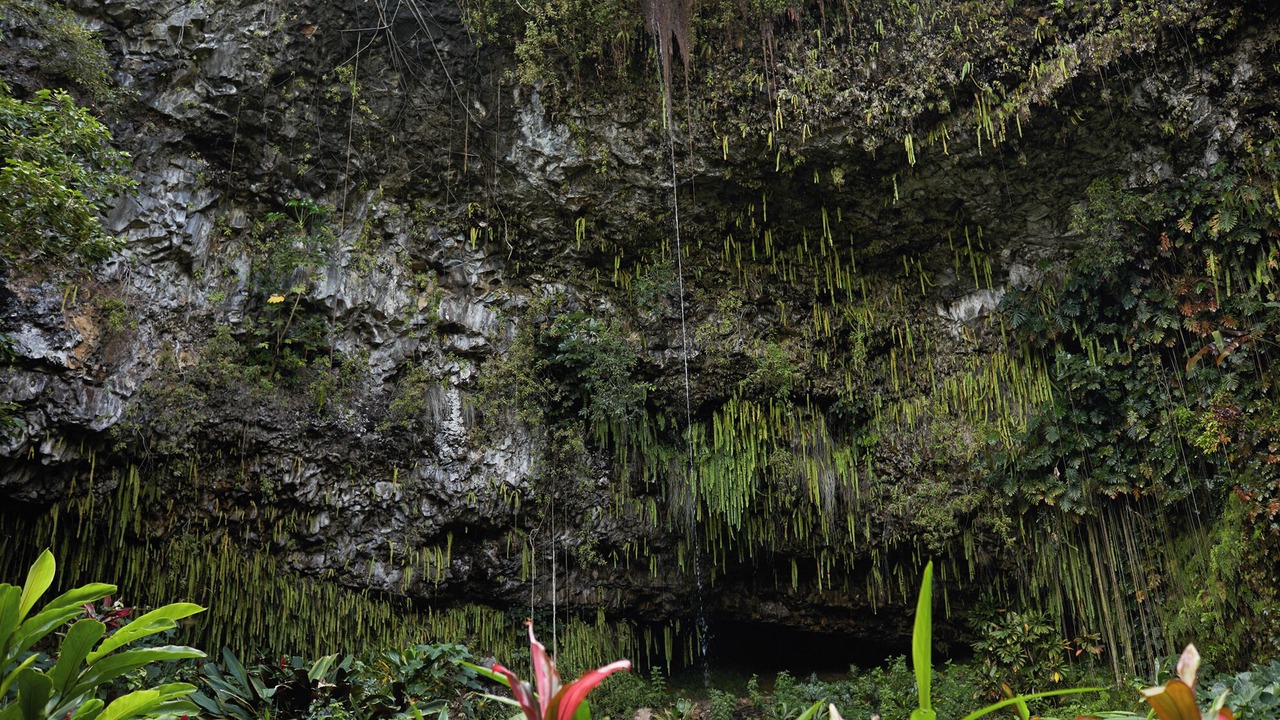 Photo of Others in Princeville