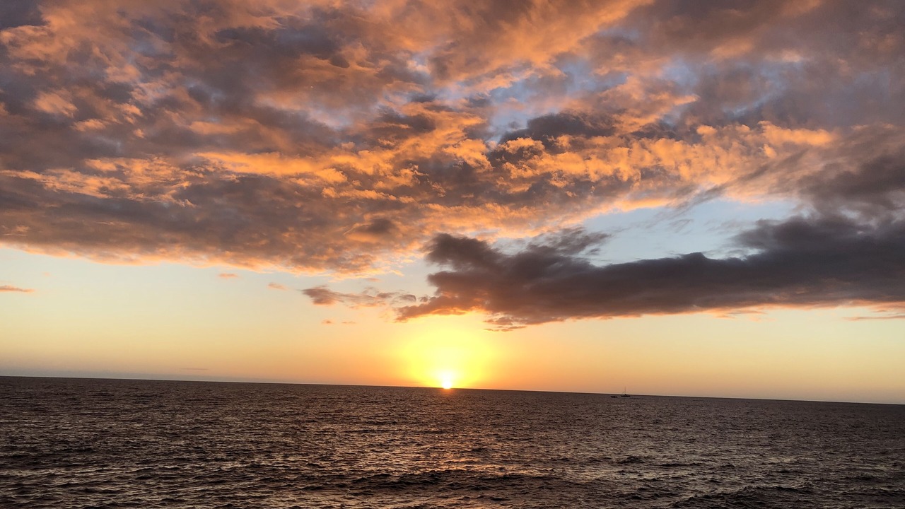 Photo of Others in Kahaluu Bay