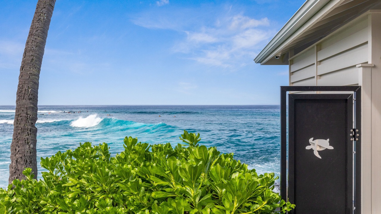 Photo of Outdoor in Kahaluu Bay
