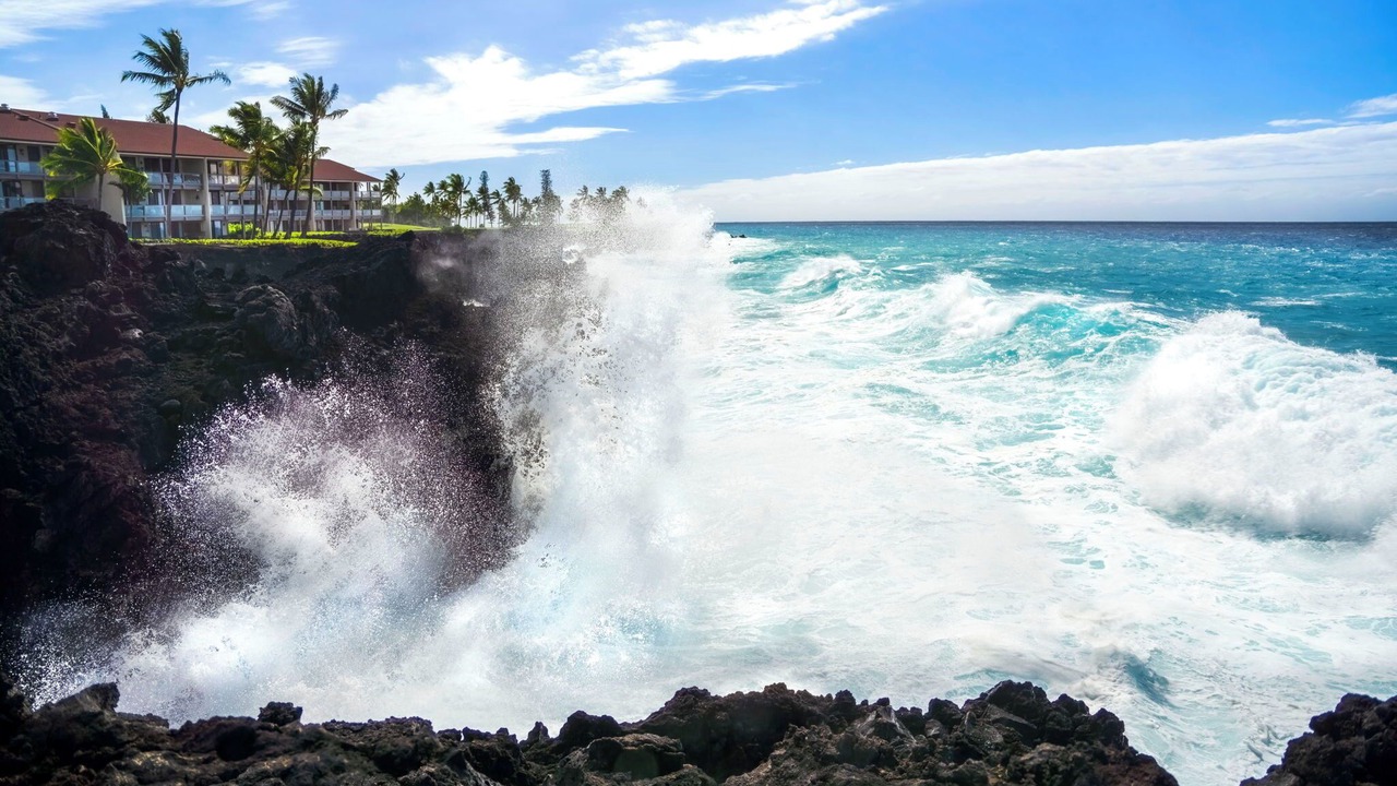 Photo of Others in Kahaluu Bay