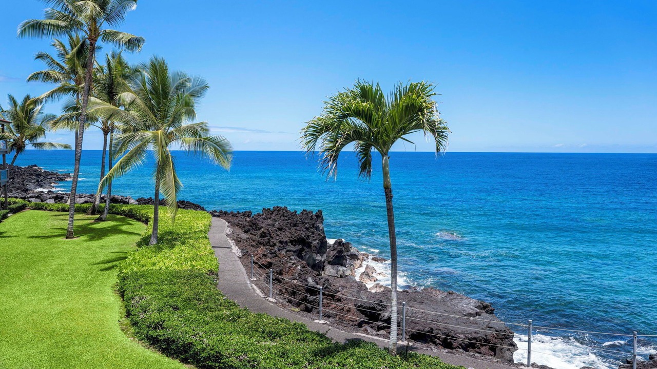 Photo of Others in Kahaluu Bay
