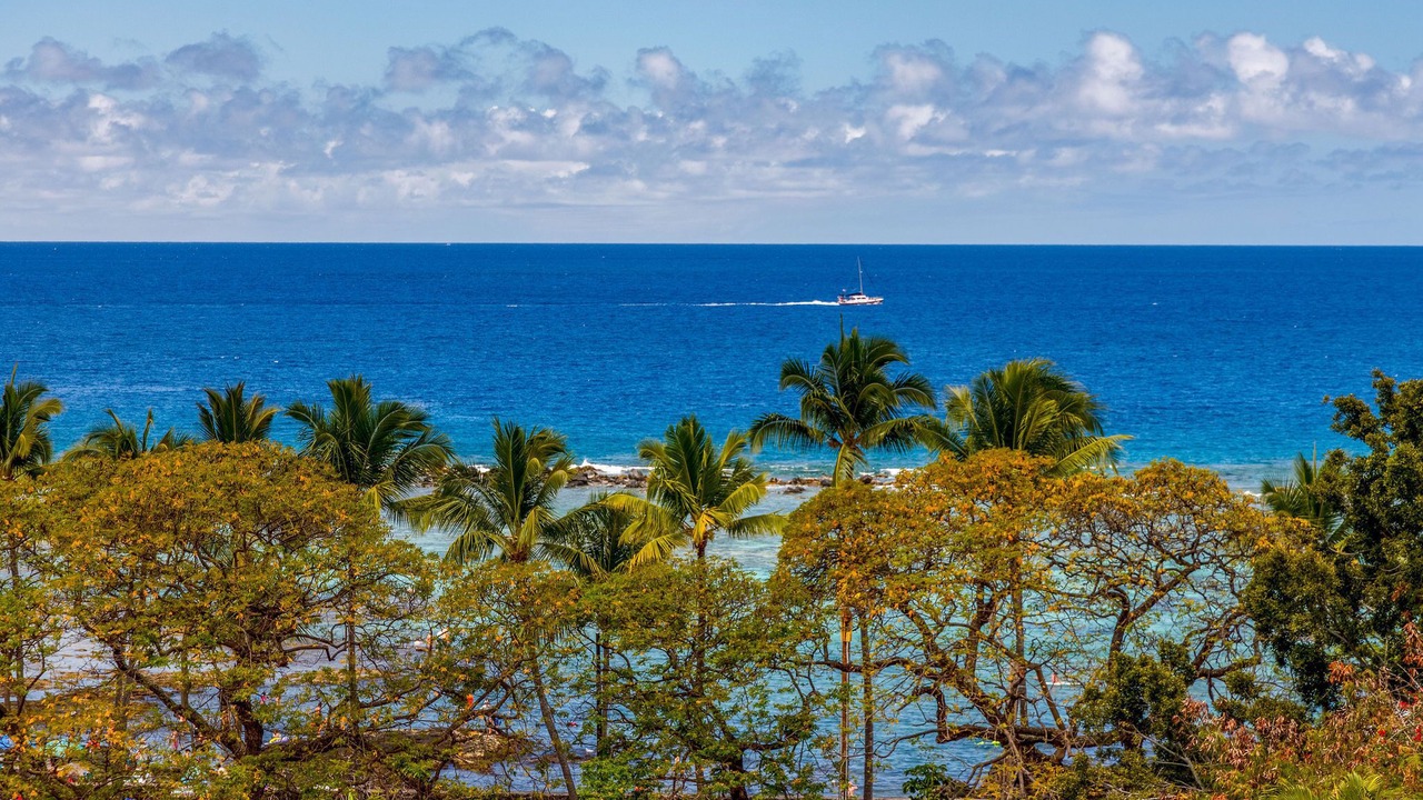 Photo of Others in Kahaluu Bay