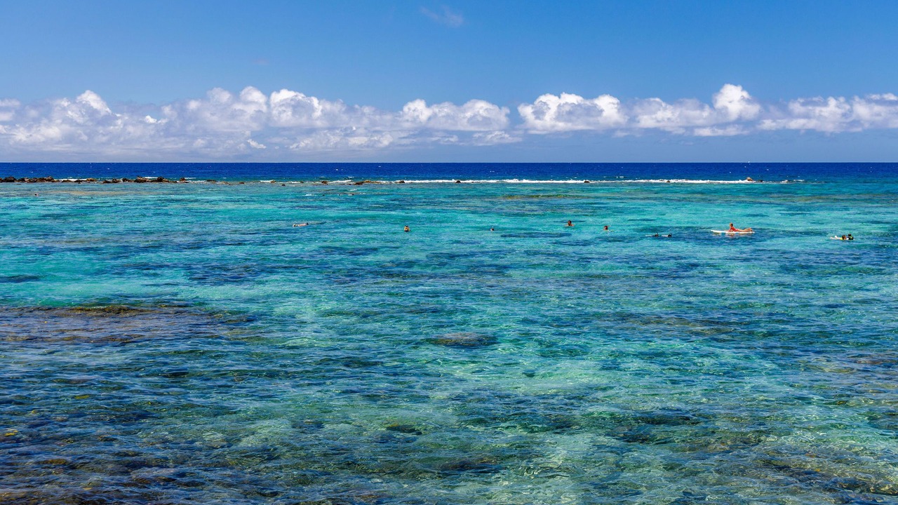 Photo of Others in Kahaluu Bay