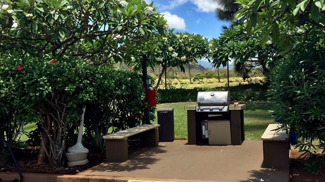 Photo of Others in Lihue