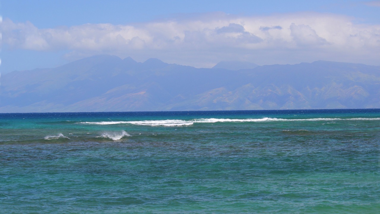 Photo of Others in Kahana