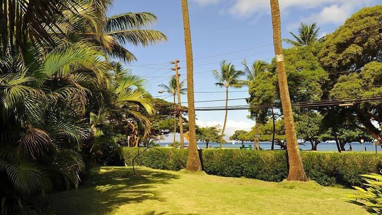 Photo of Outdoor in Honokowai