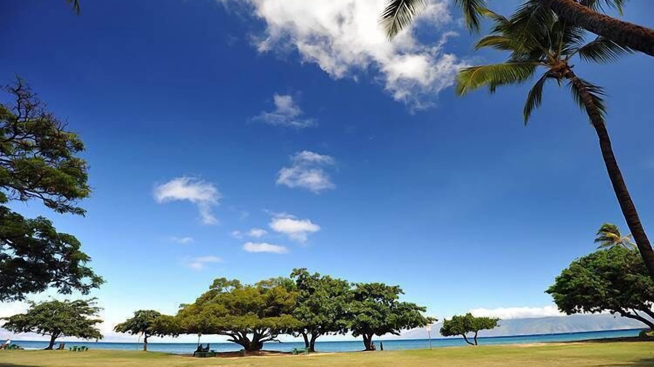Photo of Others in Honokowai