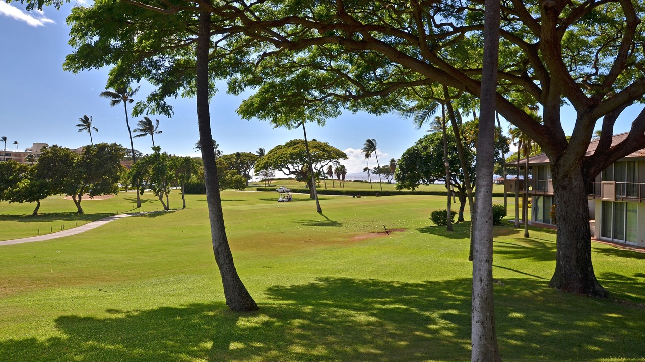 Photo of Outdoor in Kaanapali