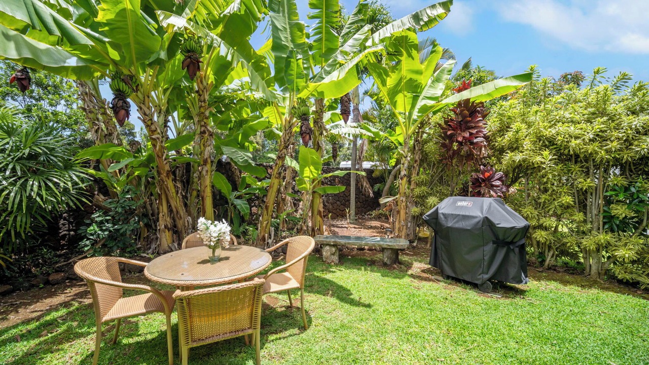Photo of Outdoor in Poipu