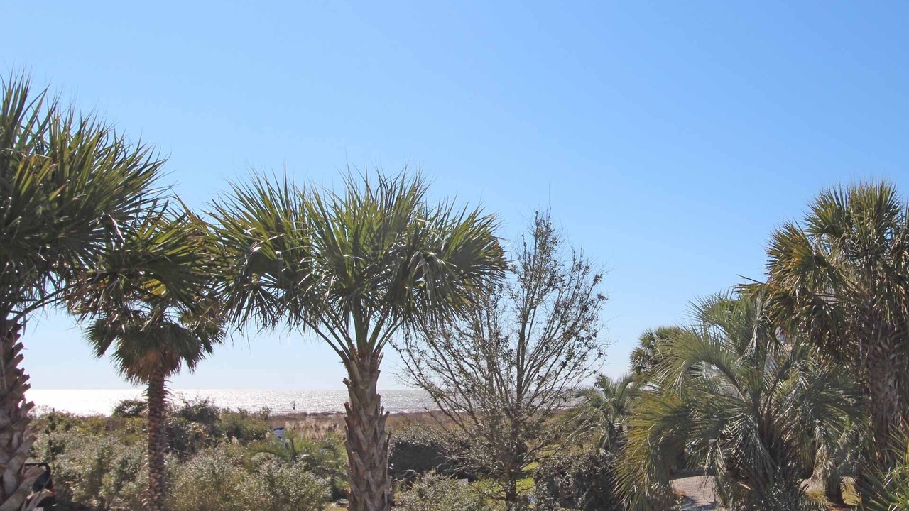 Photo of Outdoor in Isle of Palms