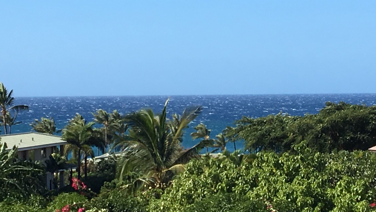 Photo of Others in Wailea