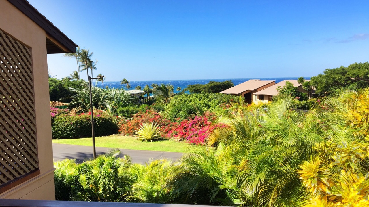 Photo of Others in Wailea