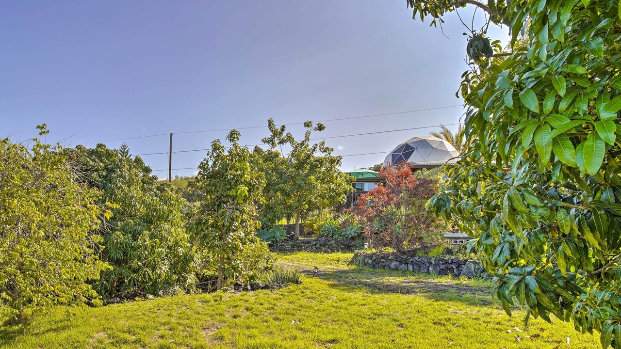 Photo of Outdoor in Captain Cook