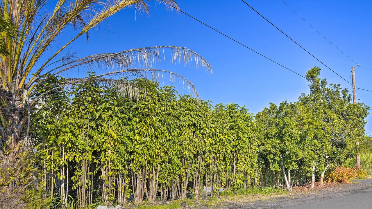 Photo of Outdoor in Captain Cook