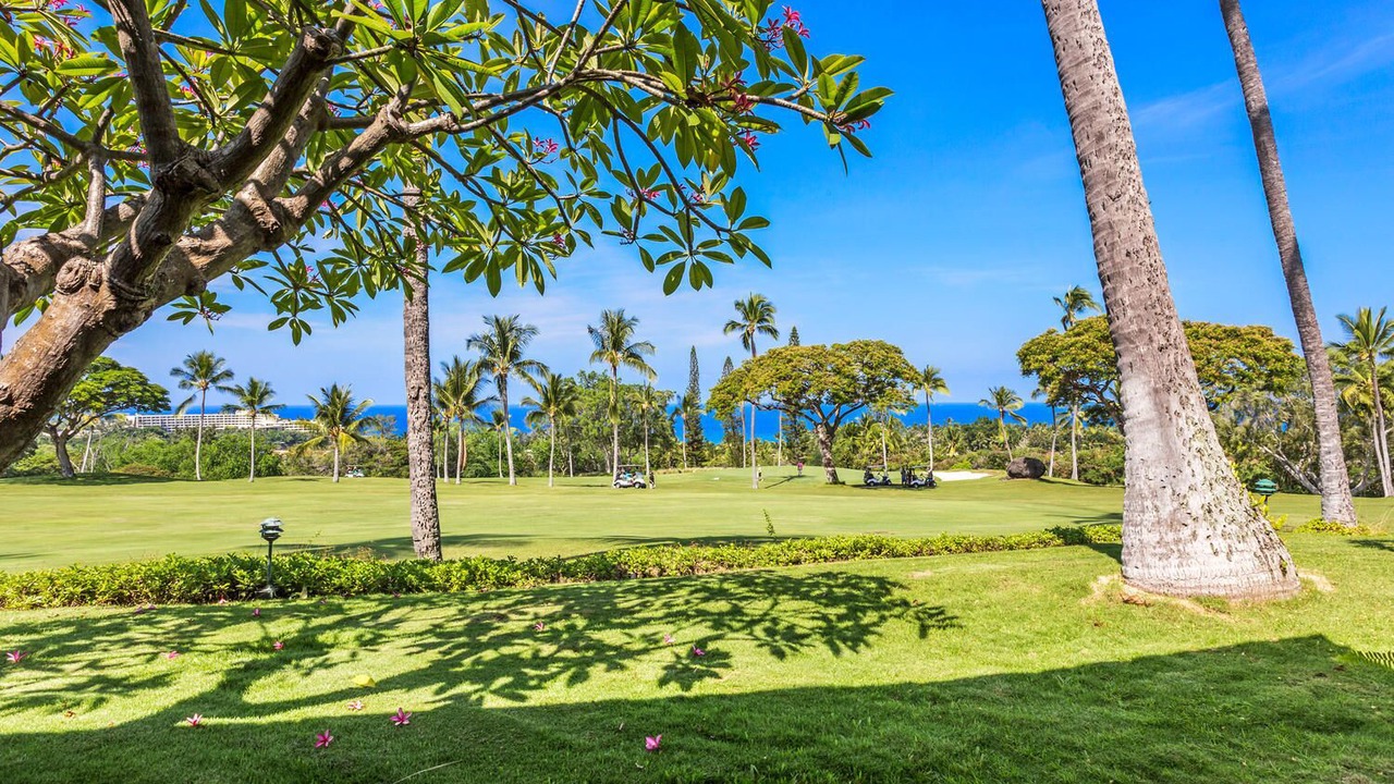 Photo of Others in Keauhou