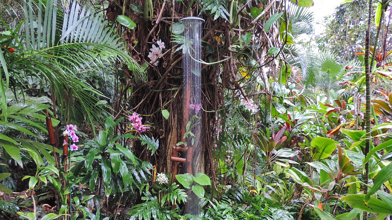 Photo of Outdoor in Kilauea