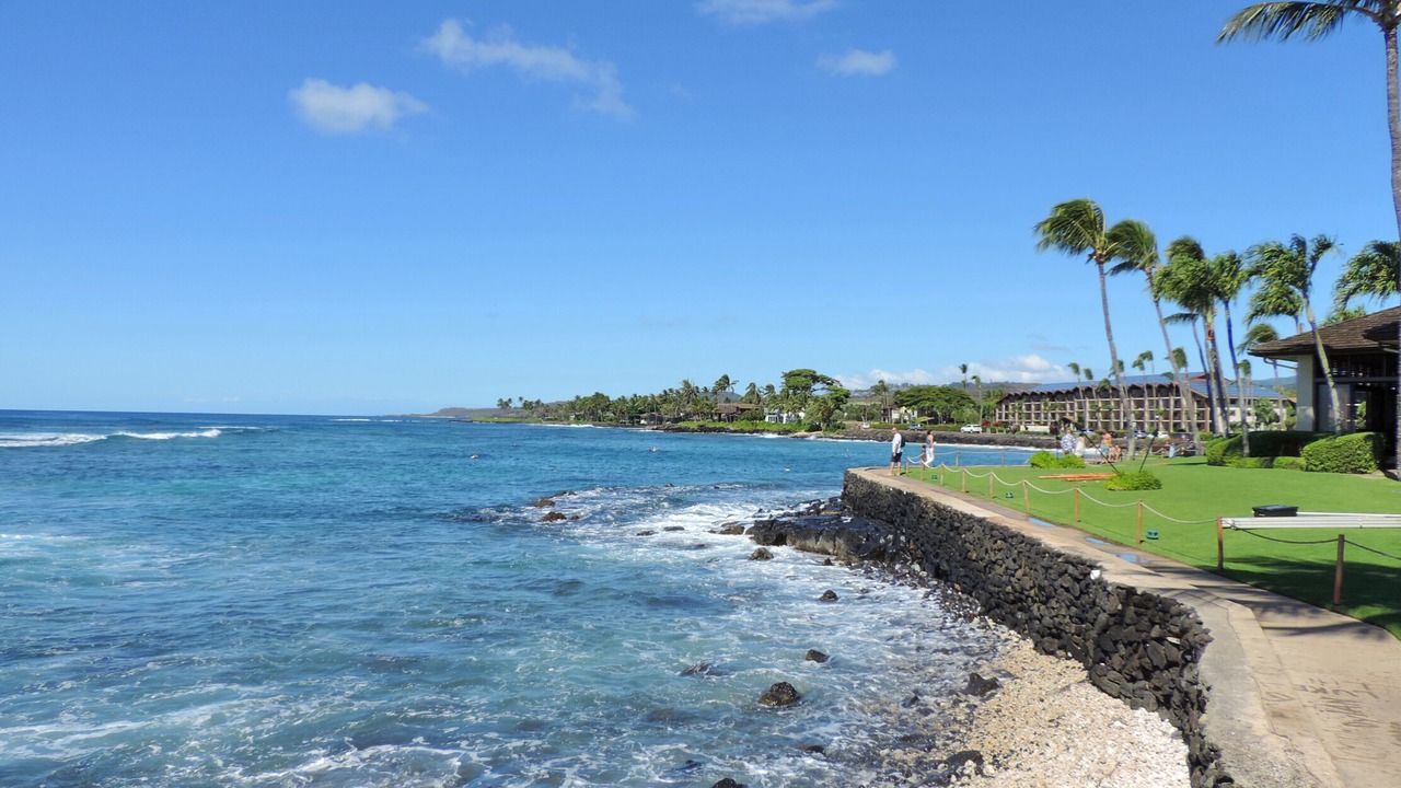 Photo of Others in Poipu