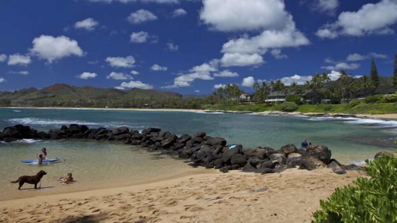 Photo of Others in Wailua House Lots