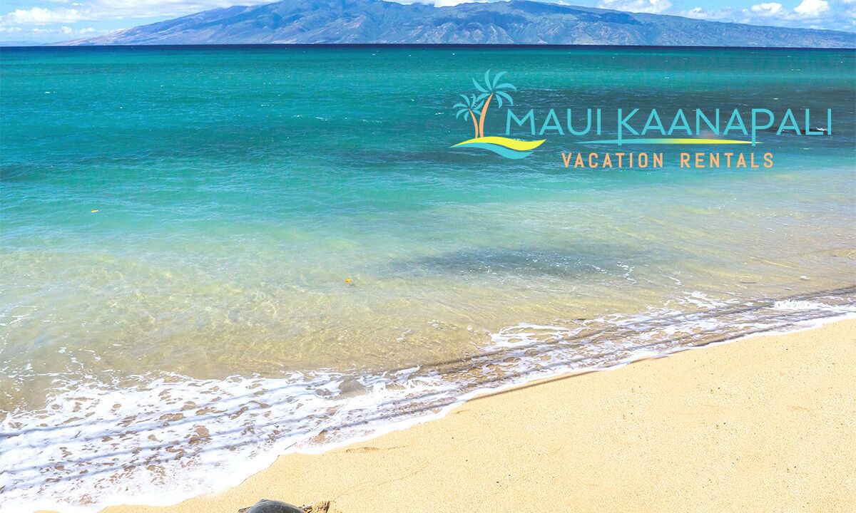 Photo of Others in Kaanapali