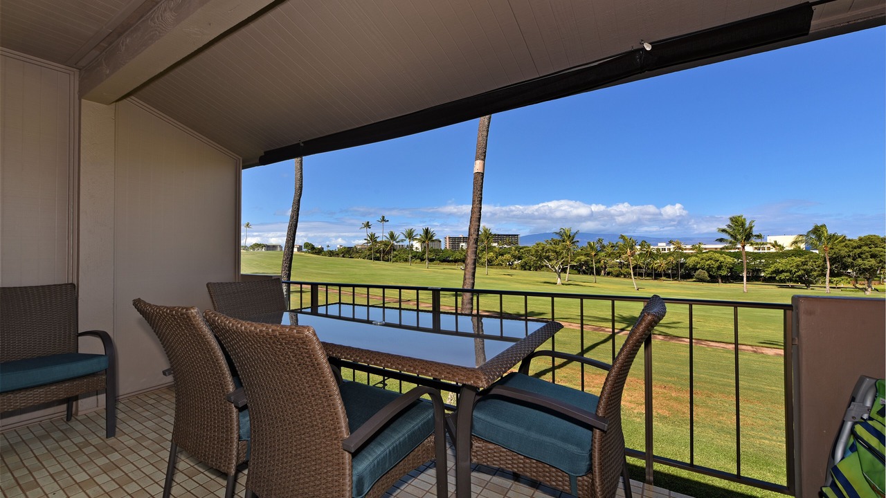 Photo of Others in Kaanapali
