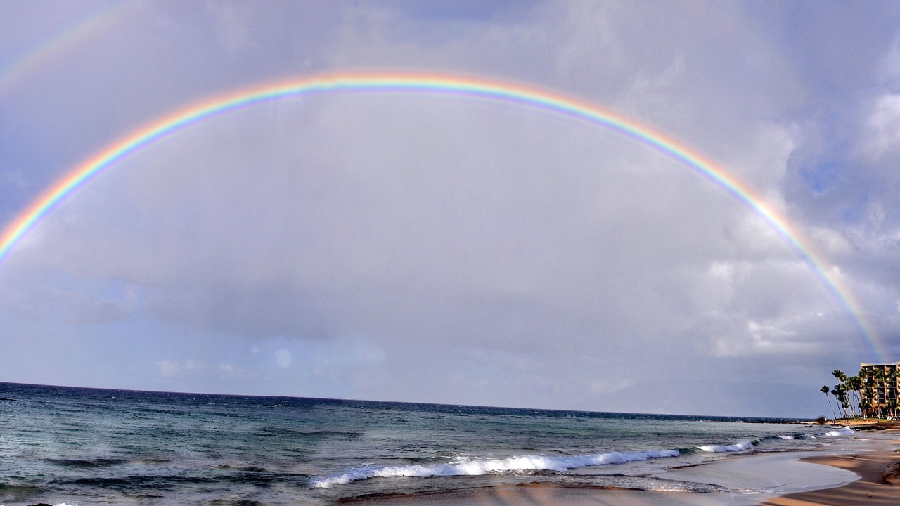 Photo of Others in Kihei