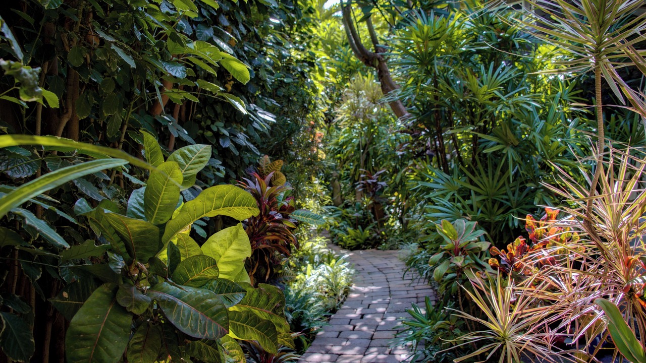 Photo of Outdoor in Kihei