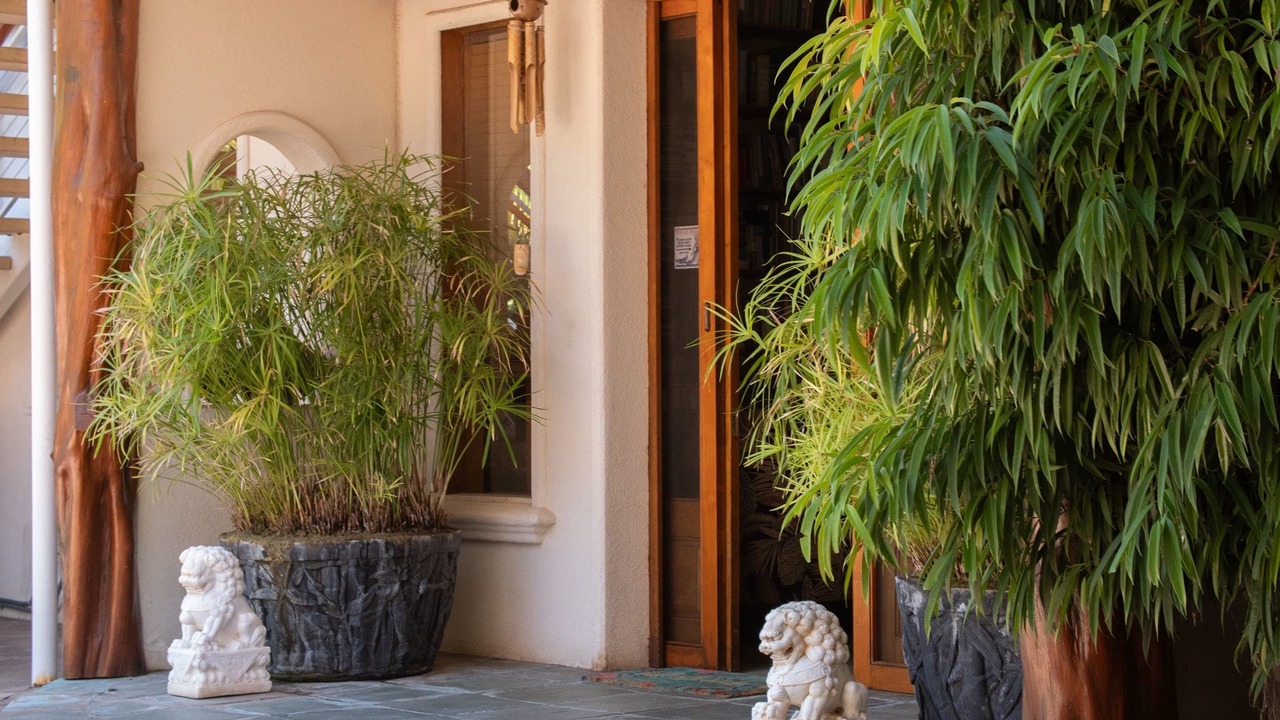 Photo of Outdoor in Kihei