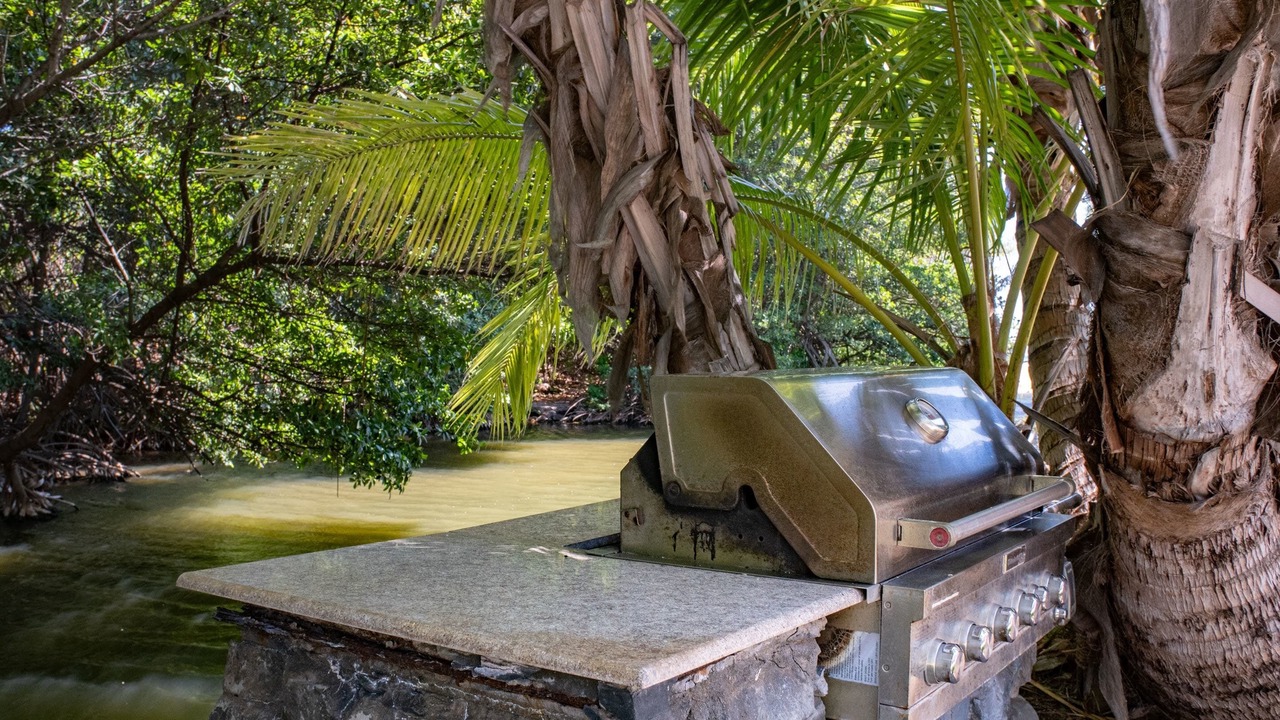 Photo of Outdoor in Kihei