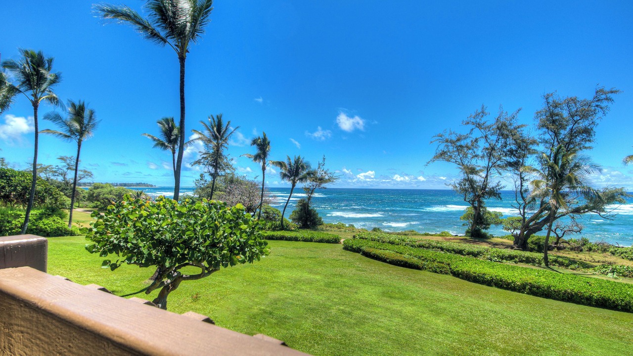 Photo of Others in Lihue