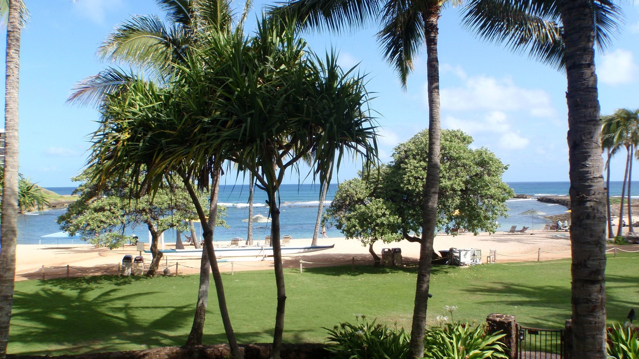 Photo of Outdoor in Kahuku