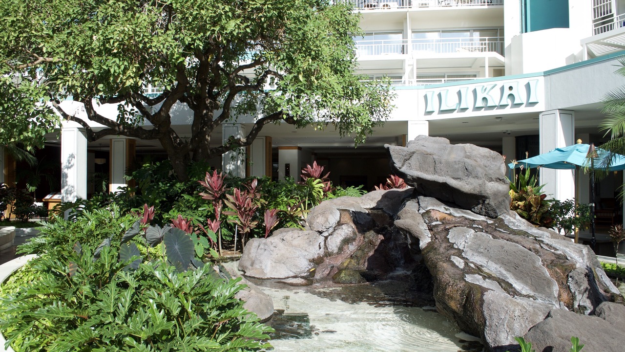 Photo of Outdoor in Waikiki