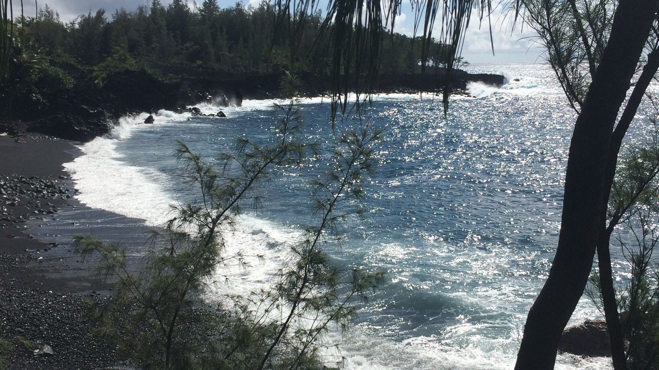 Photo of Others in Kehena