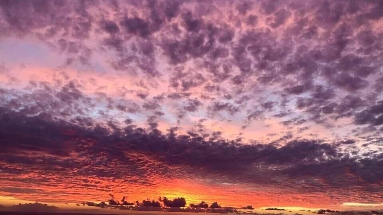 Photo of Others in Kailua-Kona