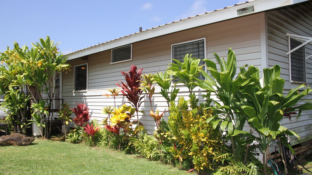 Photo of Outdoor in Haiku