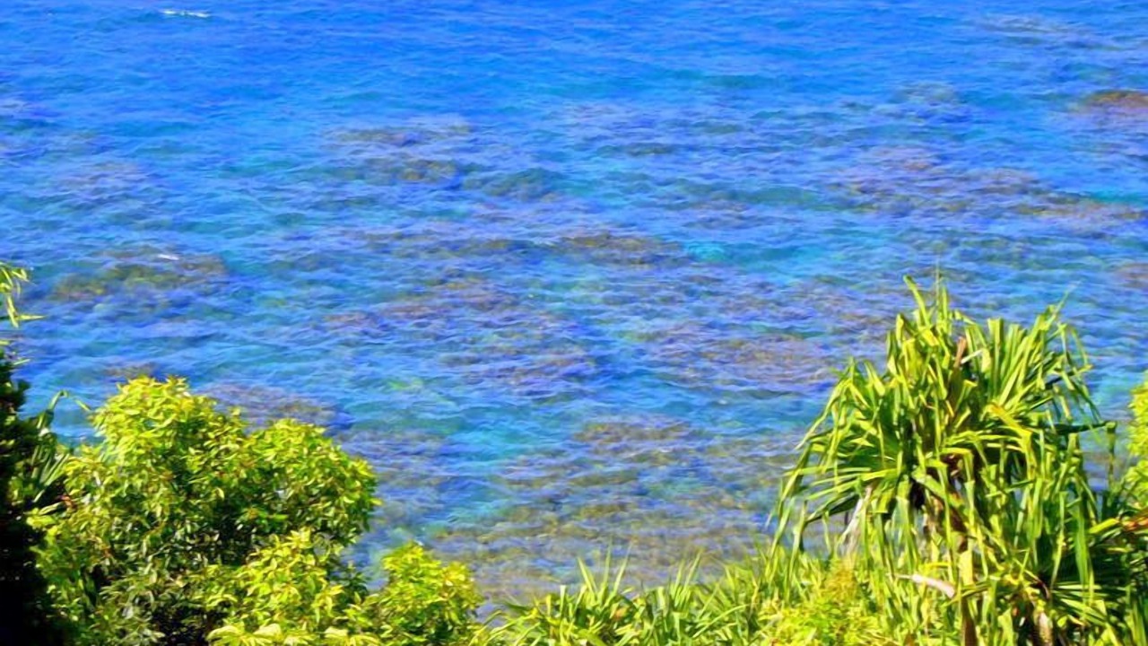 Photo of Others in Princeville