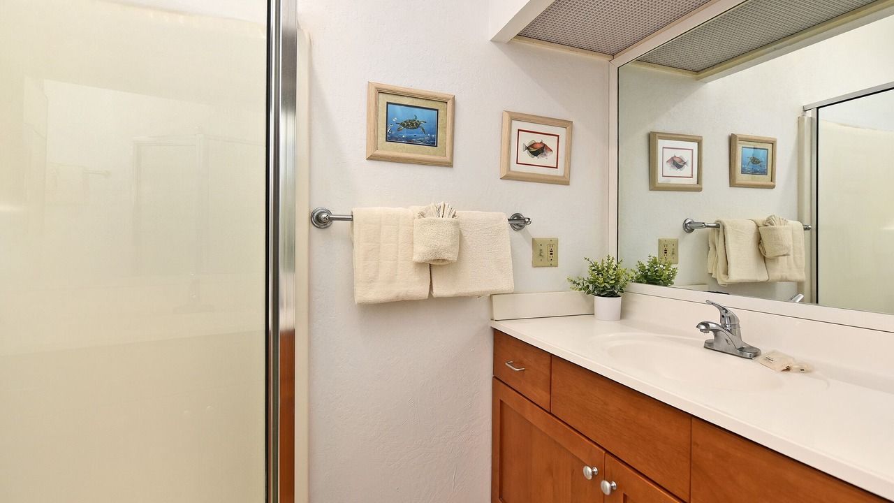 Photo of Bathroom in Napili