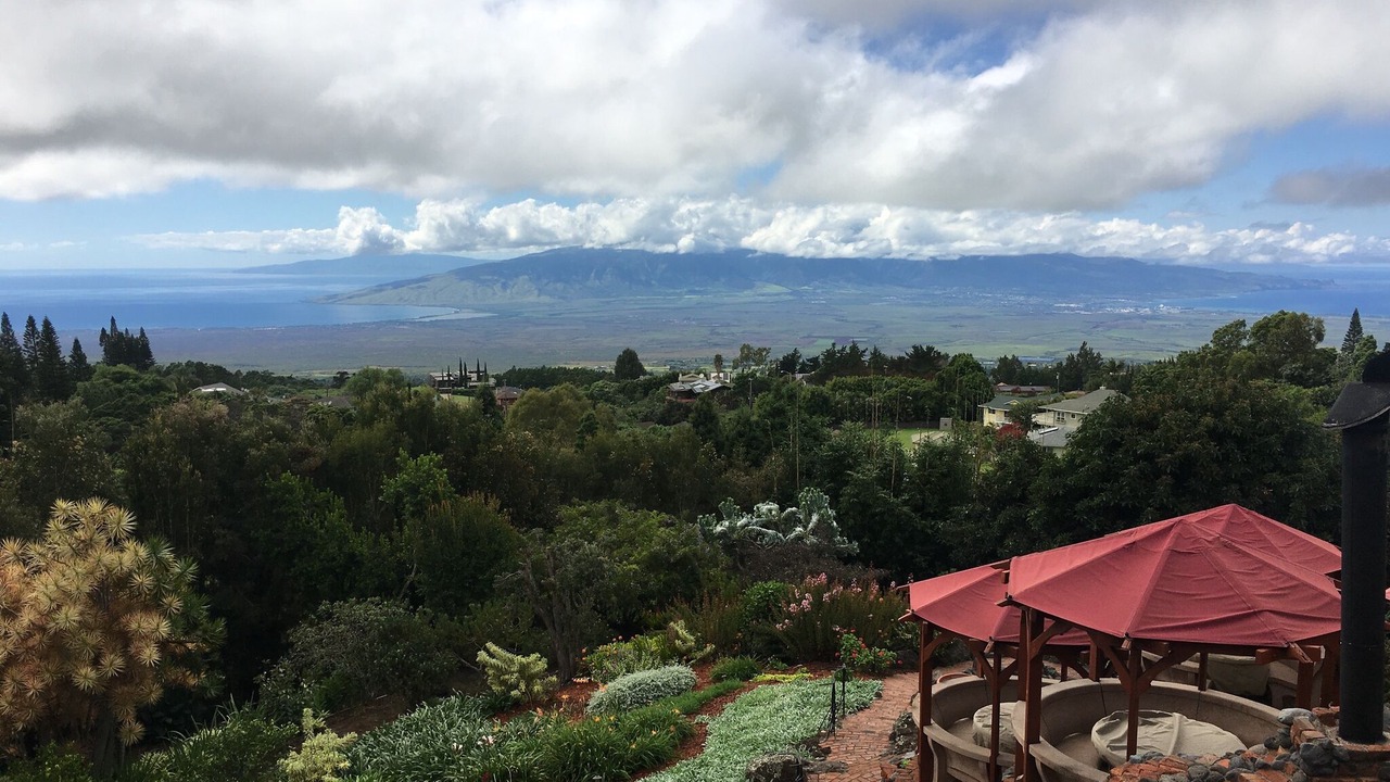 Photo of Outdoor in Napili