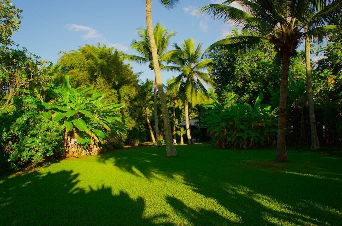 Photo of Outdoor in Puuiki