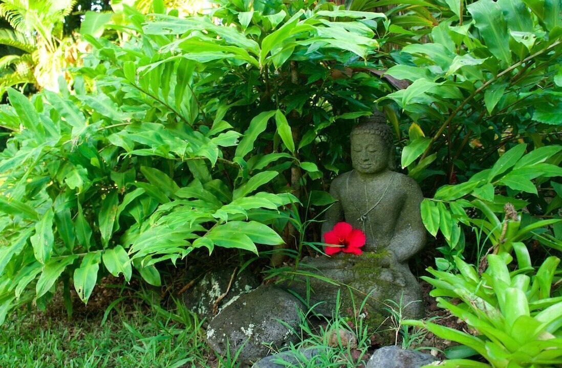 Photo of Outdoor in Puuiki