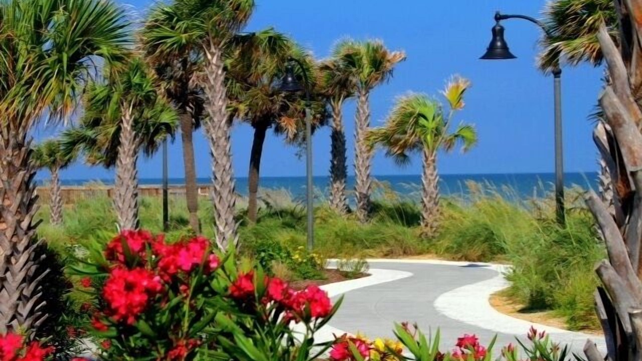 Photo of Others in Cherry Grove Beach