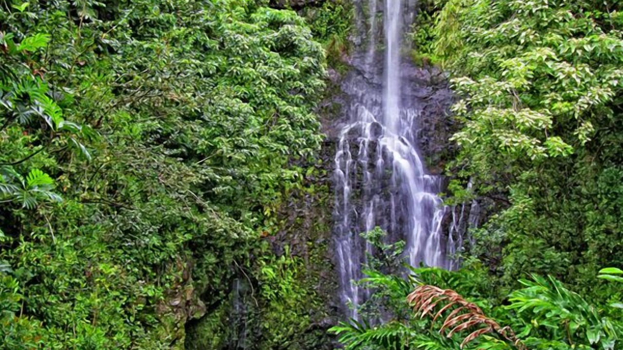 Photo of Outdoor in Hana