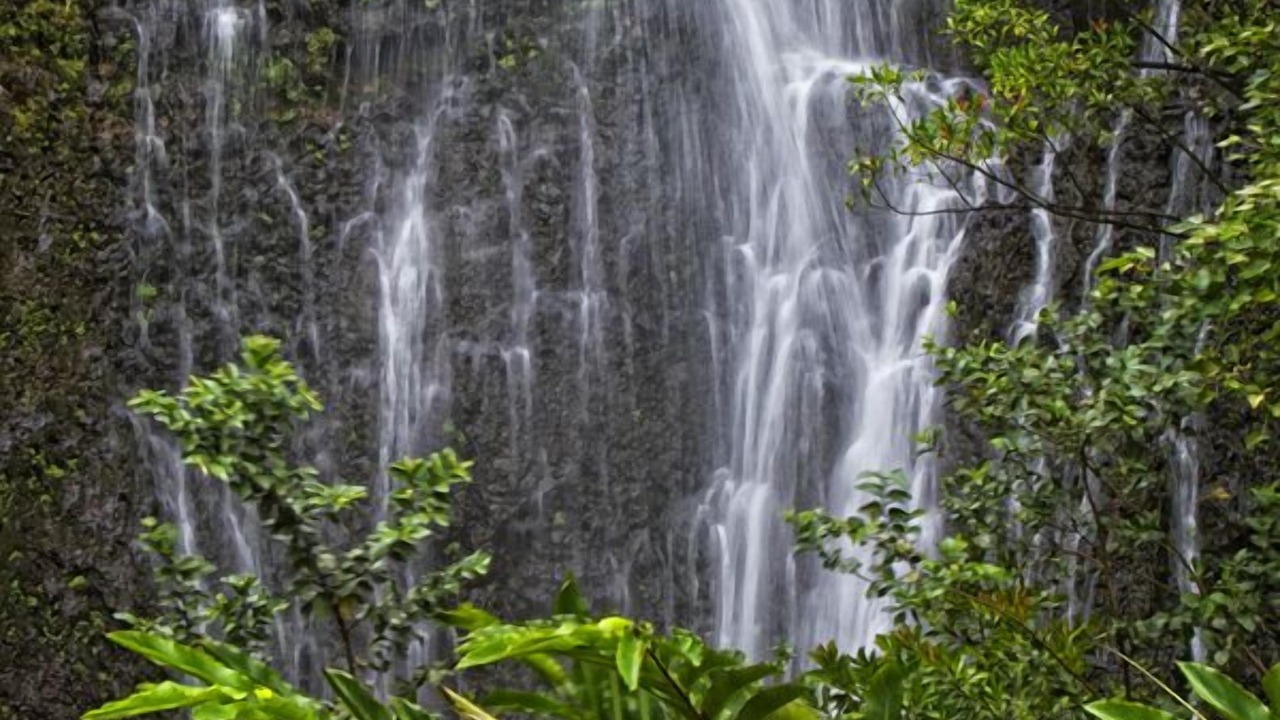 Photo of Others in Hana