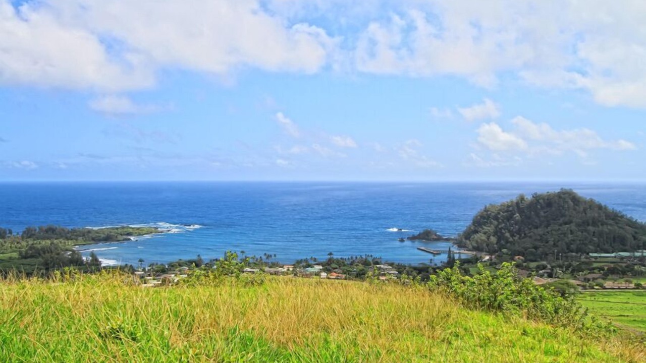 Photo of Others in Hana