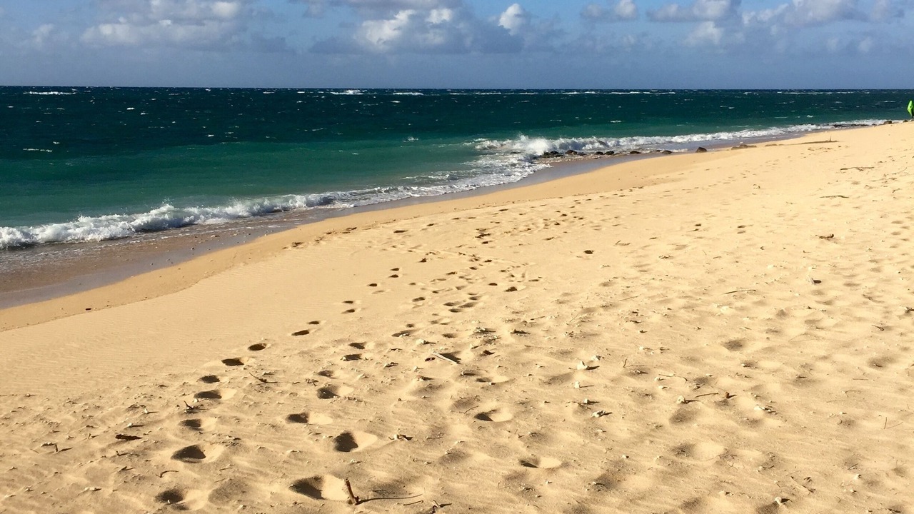 Photo of Others in Kahului