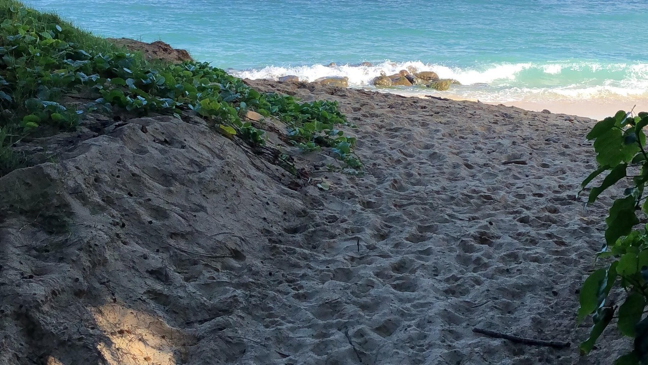Photo of Others in Kahului