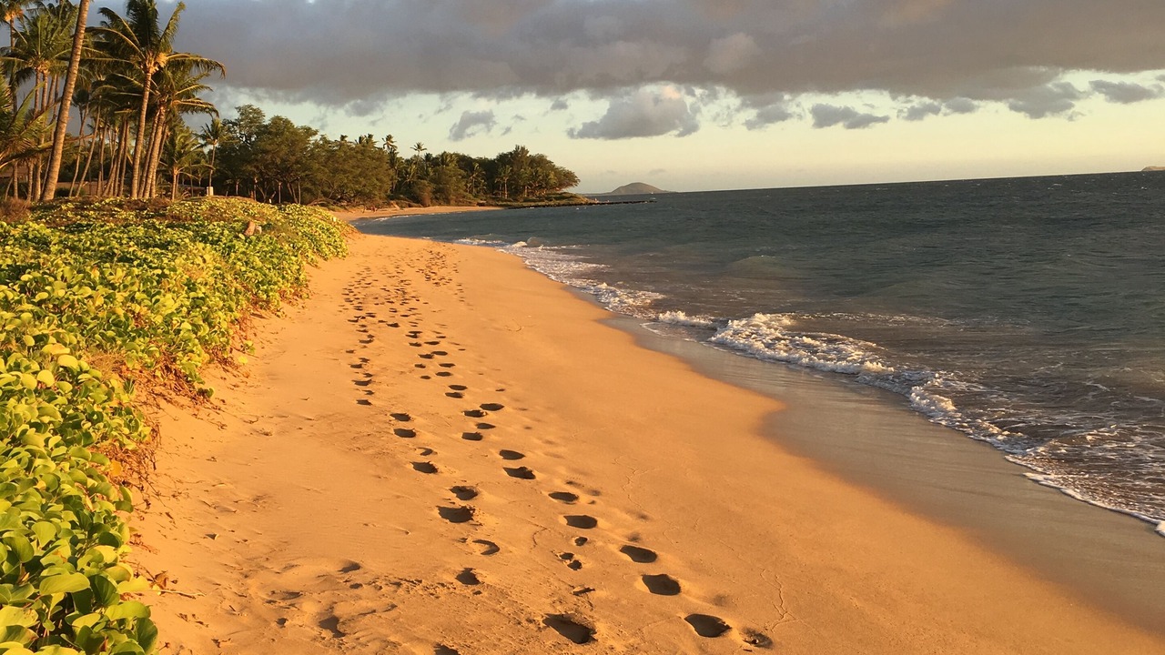 Photo of Others in Kihei