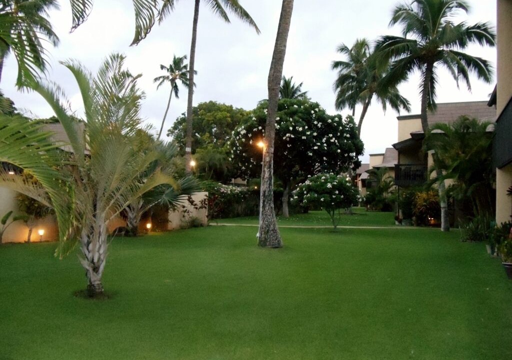 Photo of Outdoor in Kihei