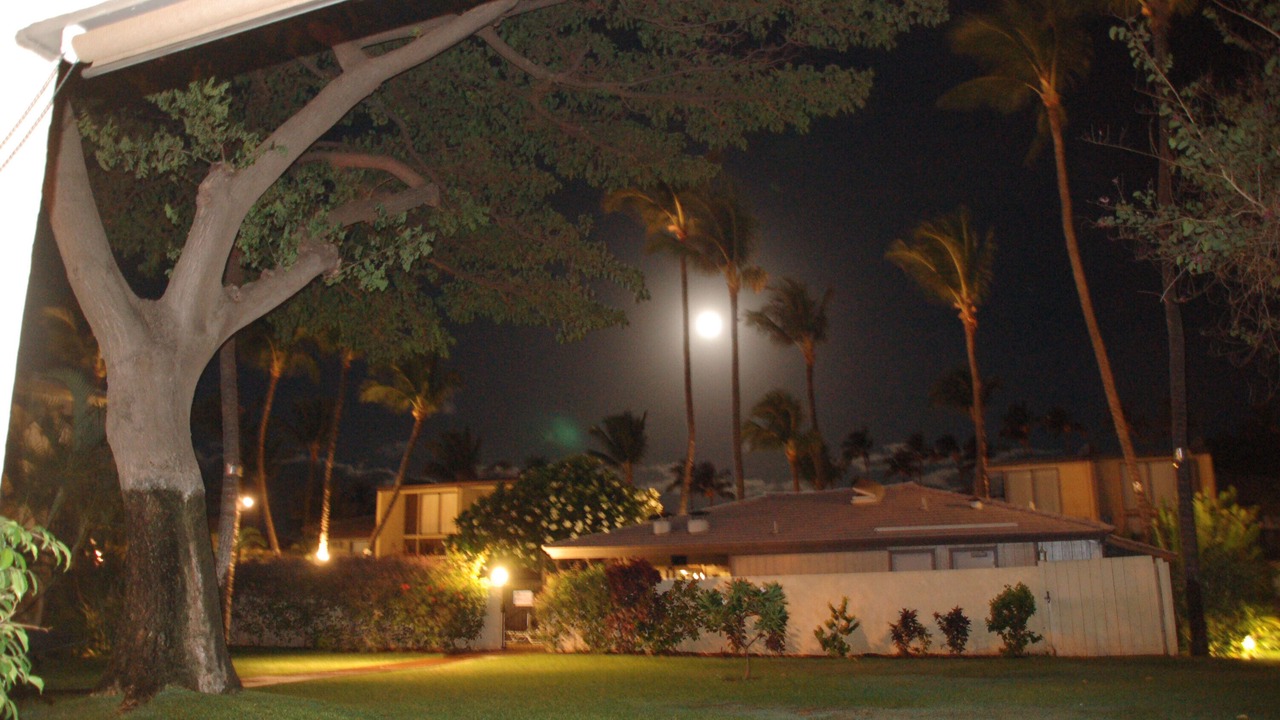 Photo of Outdoor in Kihei