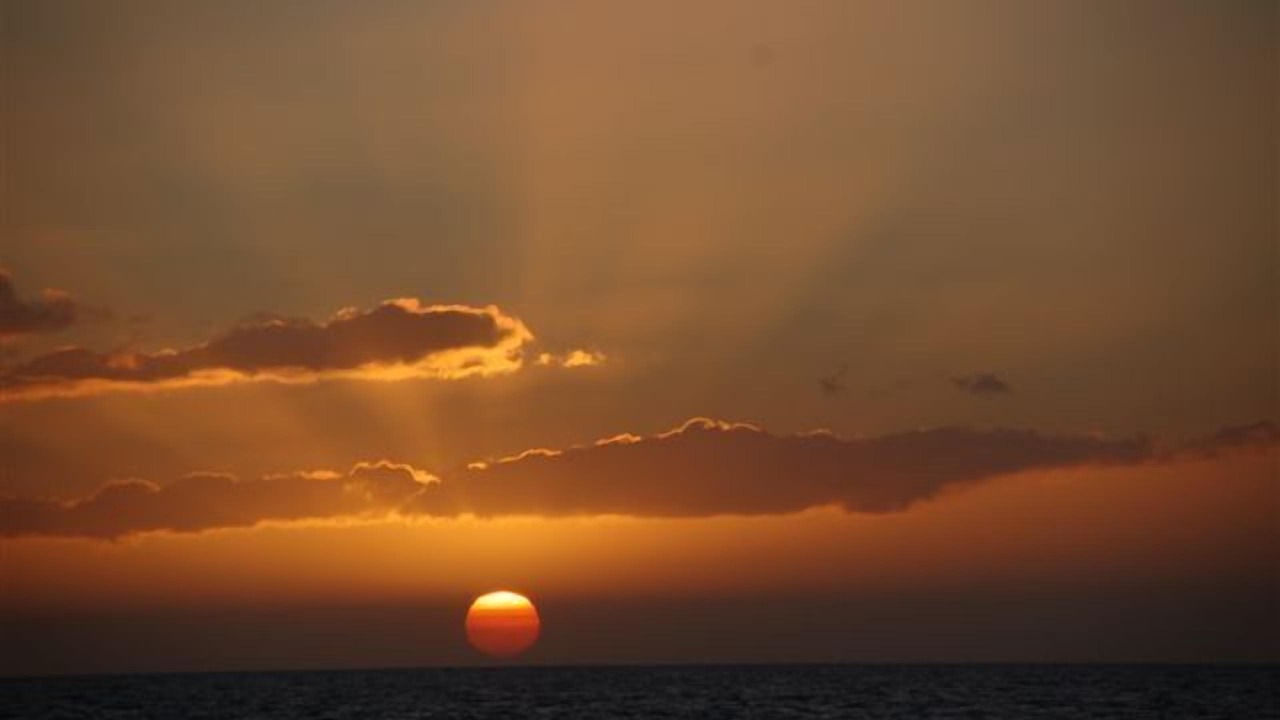 Photo of Others in Kihei